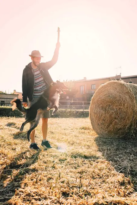 Man playing with dog in a harvested wheat field at sunset