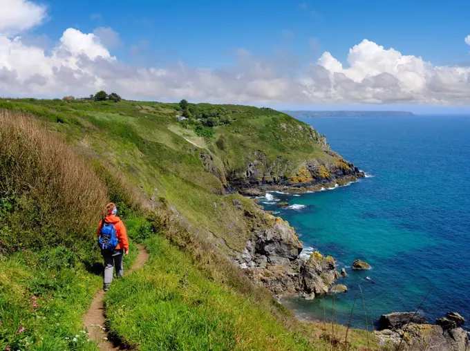 UK, England, Cornwall, The Lizard, woman hiking at the coast near Cadgwith