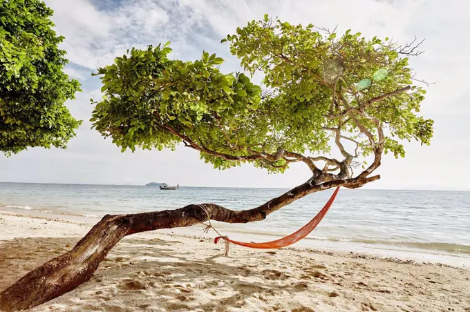 Thailand, Phi Phi Islands, Ko Phi Phi, hammock in a tree on the beach