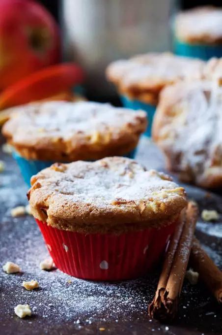 Apple cinnamon muffin with icing sugar