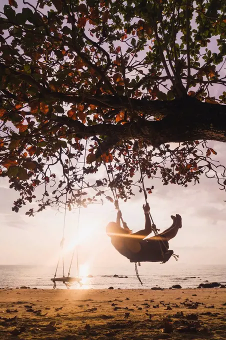 Thailand, Phi Phi Islands, Ko Phi Phi, man on tree swing on the beach in backlight