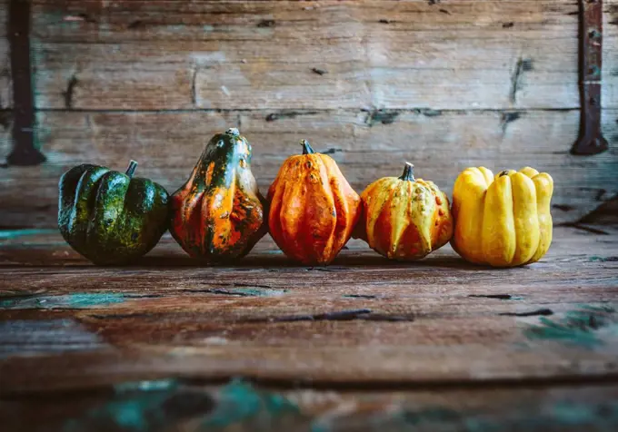 Row of five Ornamental pumpkins on wood