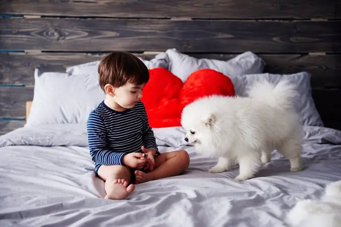 Litte boy and puppy together on bed