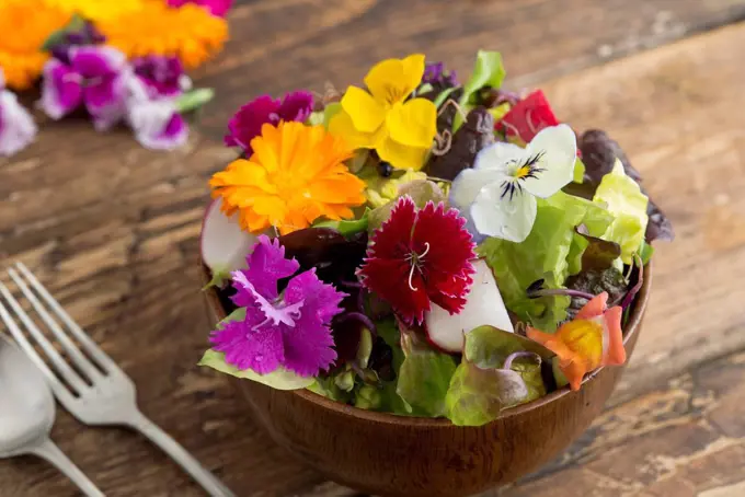 Bowl of salad with edible flowers