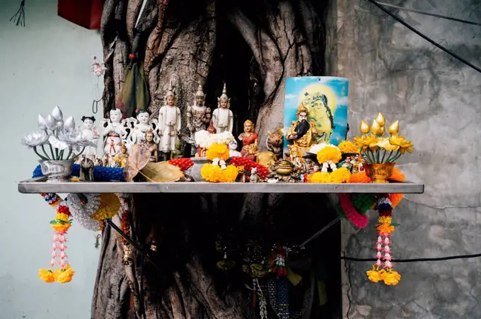Thailand, Bangkok, Altar with Buddhist religious figures in a tree