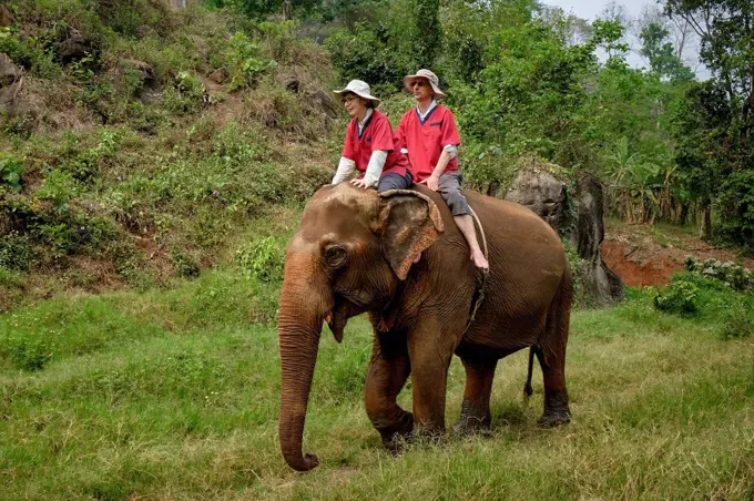 Thailand, Chiang Mai province, Ran Tong Elephant Sanctuary, Elephant trekking