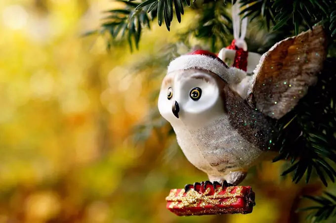 Germany, Minden, christmas bauble, owl with present