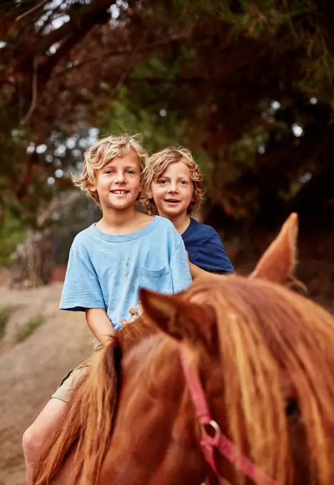 Portrait of two happy boys on horse in a forest