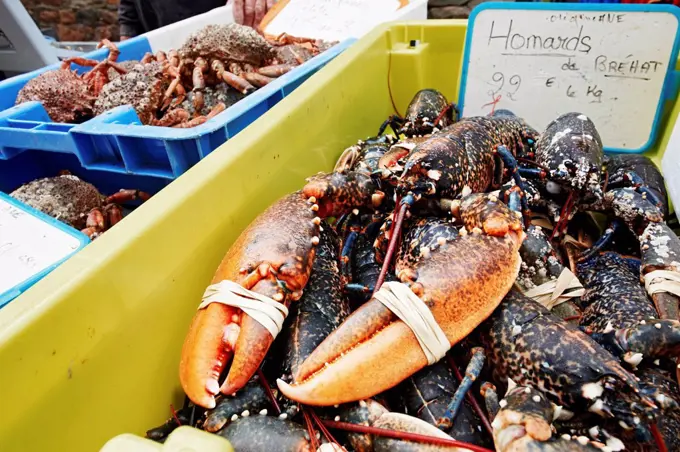 France, Bretagne, Paimpol, Lobster on market