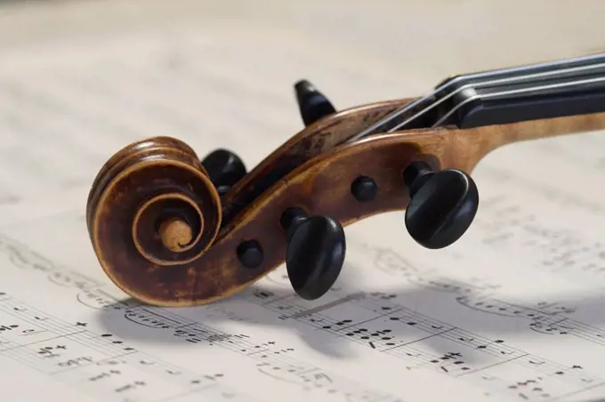 Violin scroll of antique violin lying on musical notes