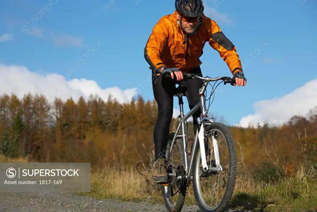 Athlete racing on a mountain bike on a forest trail, Lake District National Park, Cumbria, UK