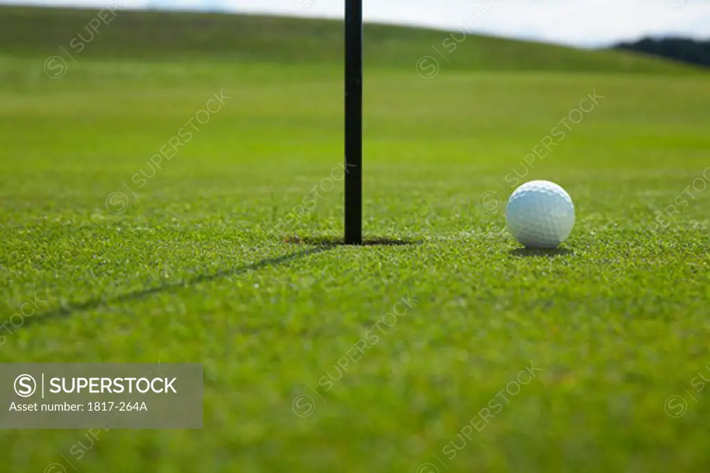 Close-up of golf ball on the green