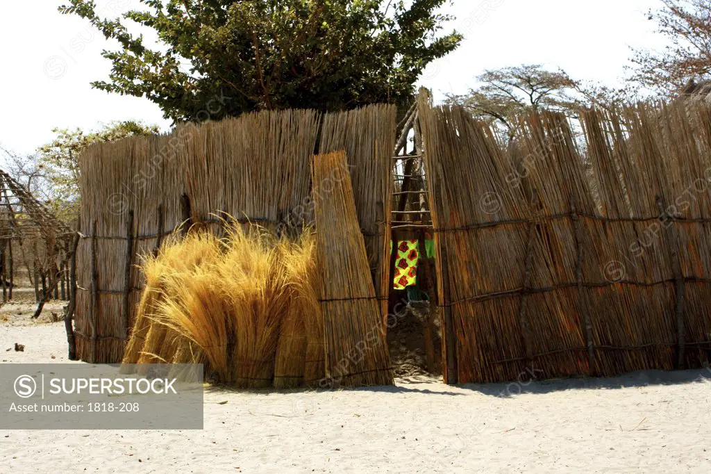 Thatched fence in a village, Caprivi Strip, Namibia