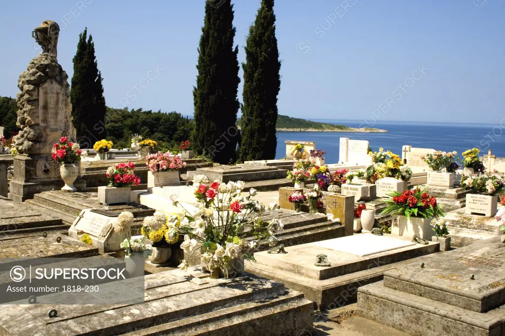 Graves in a cemetery, Cavtat, Dalmatia, Croatia