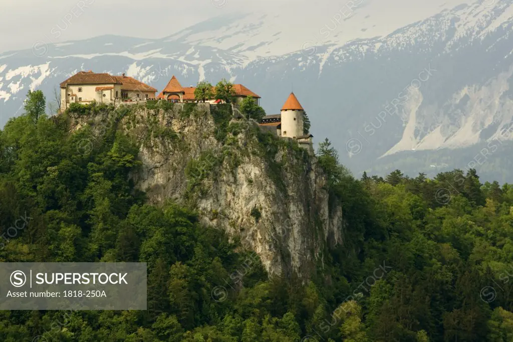 Castle on a cliff, Bled Castle, Lake Bled, Bled, Slovenia