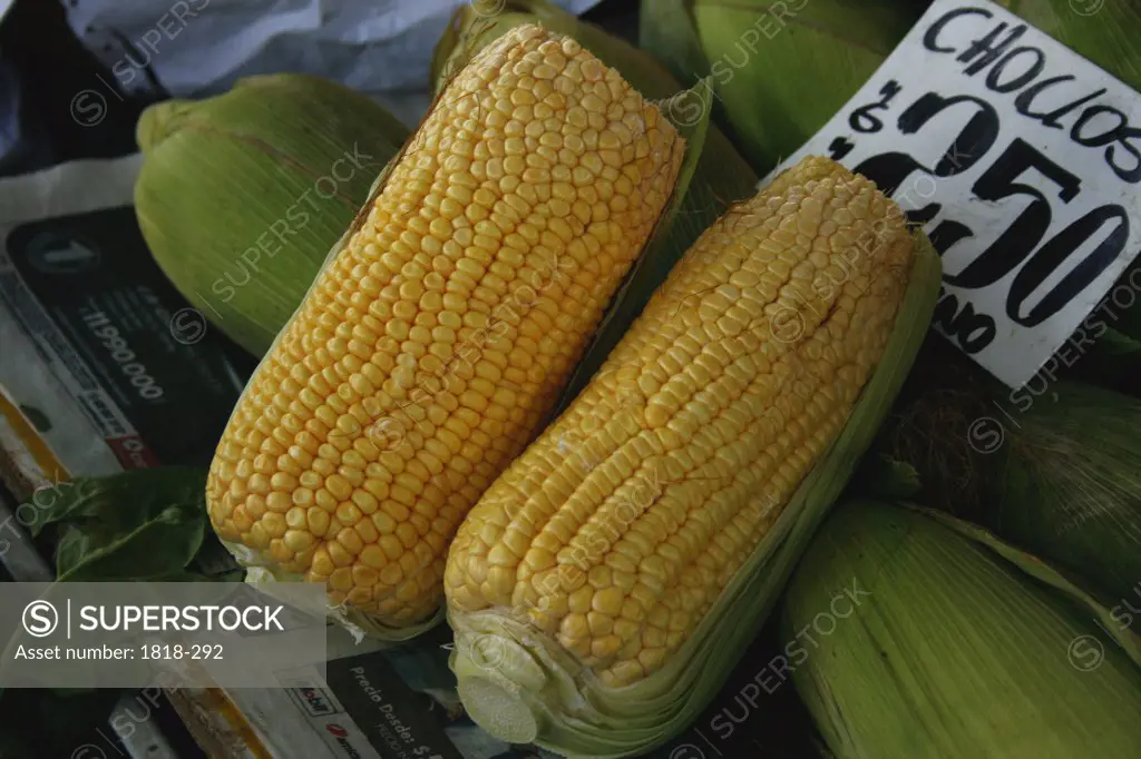 Corns at a market stall, Chile