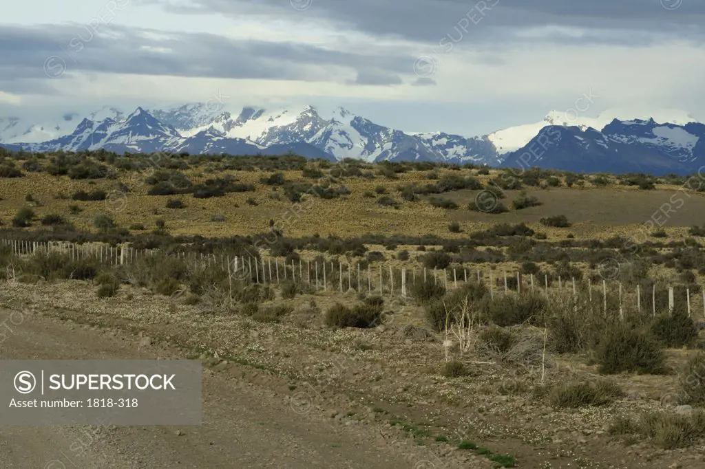 Field with mountains in the background, Pampas, Argentina