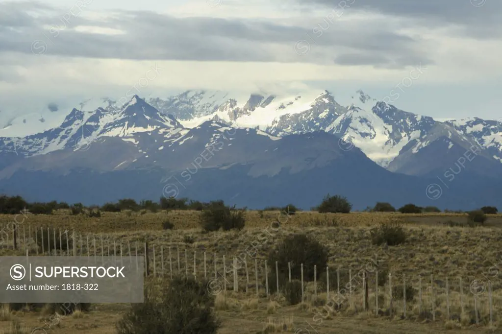 Field with mountains in the background, Pampas, Argentina