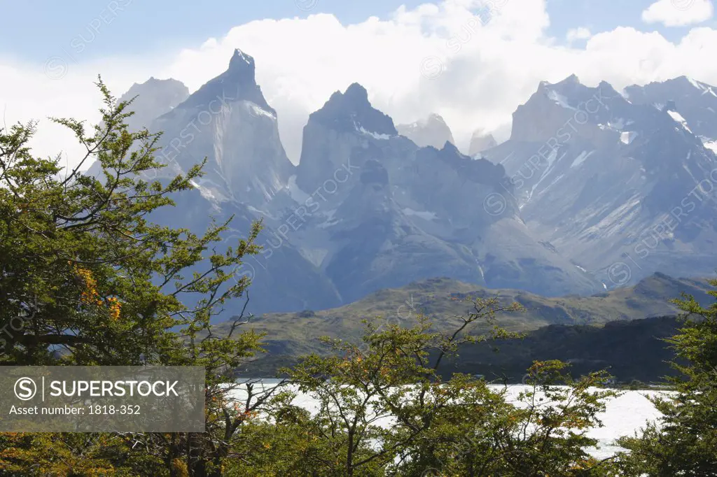 Trees with a mountain range in the background, Torres del Paine National Park, Patagonia, Chile
