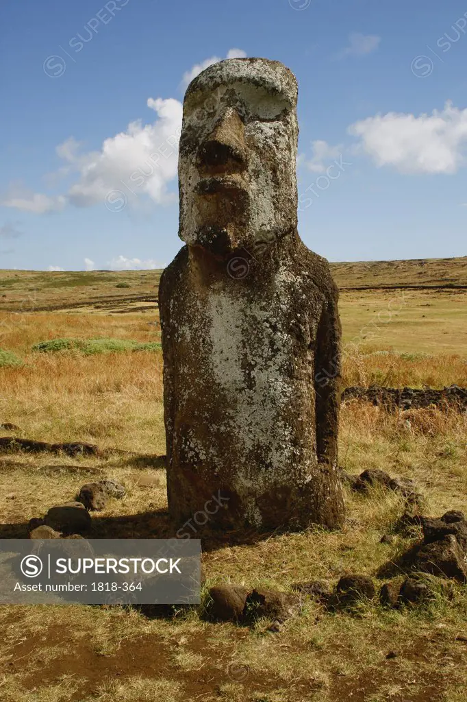 Moai statue in a field, Rano Raraku, Ahu Tongariki, Easter Island, Chile