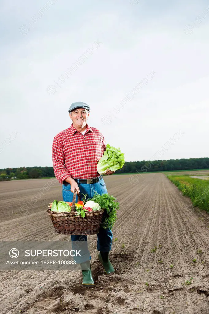 Farmer standing in field with basket of fresh vegetables, smiling and looking at camera, Hesse, Germany. 10/09/2013