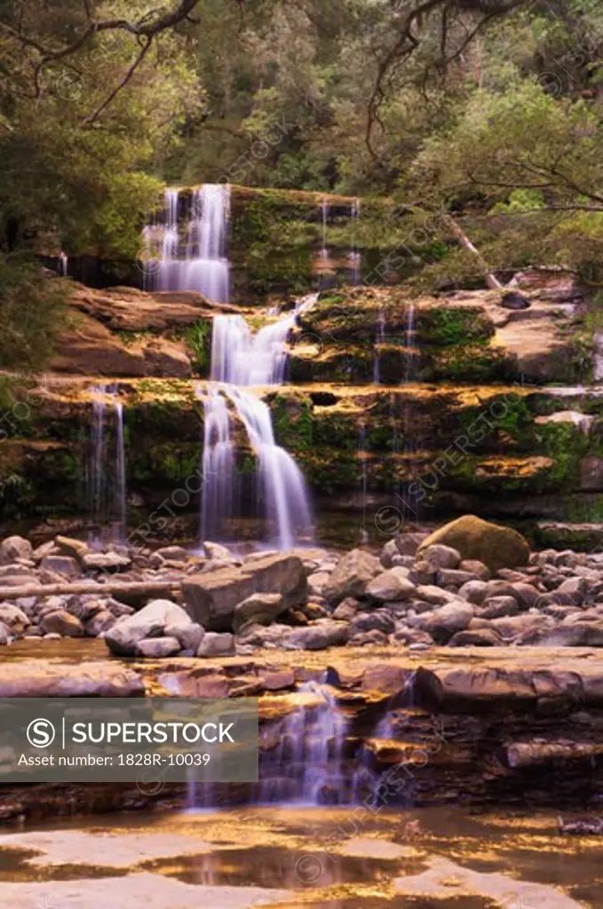 Waterfall, Liffey Falls, Liffey Falls Reserve, Tasmania, Australia   