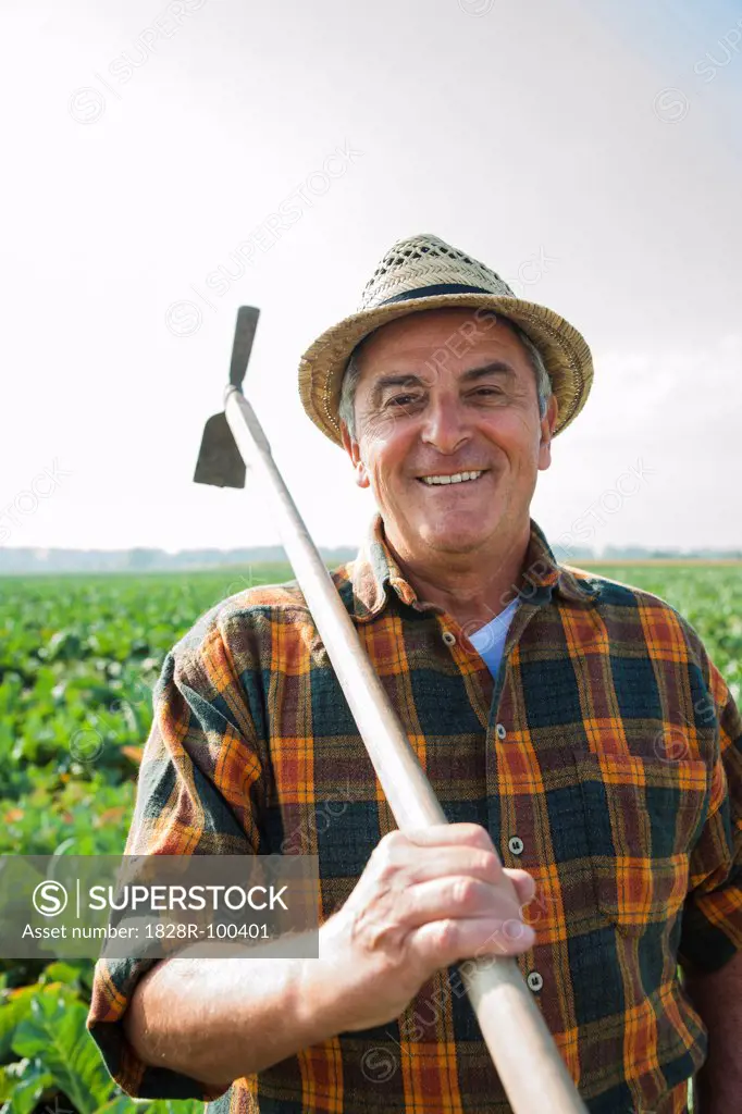 Portrait of farmer with pickaxe, standing and working in field, Germany. 10/09/2013