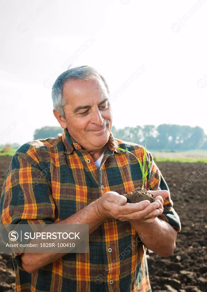 Portrait of farmer standing in field, holding seedling plant from crop, Germany. 10/09/2013