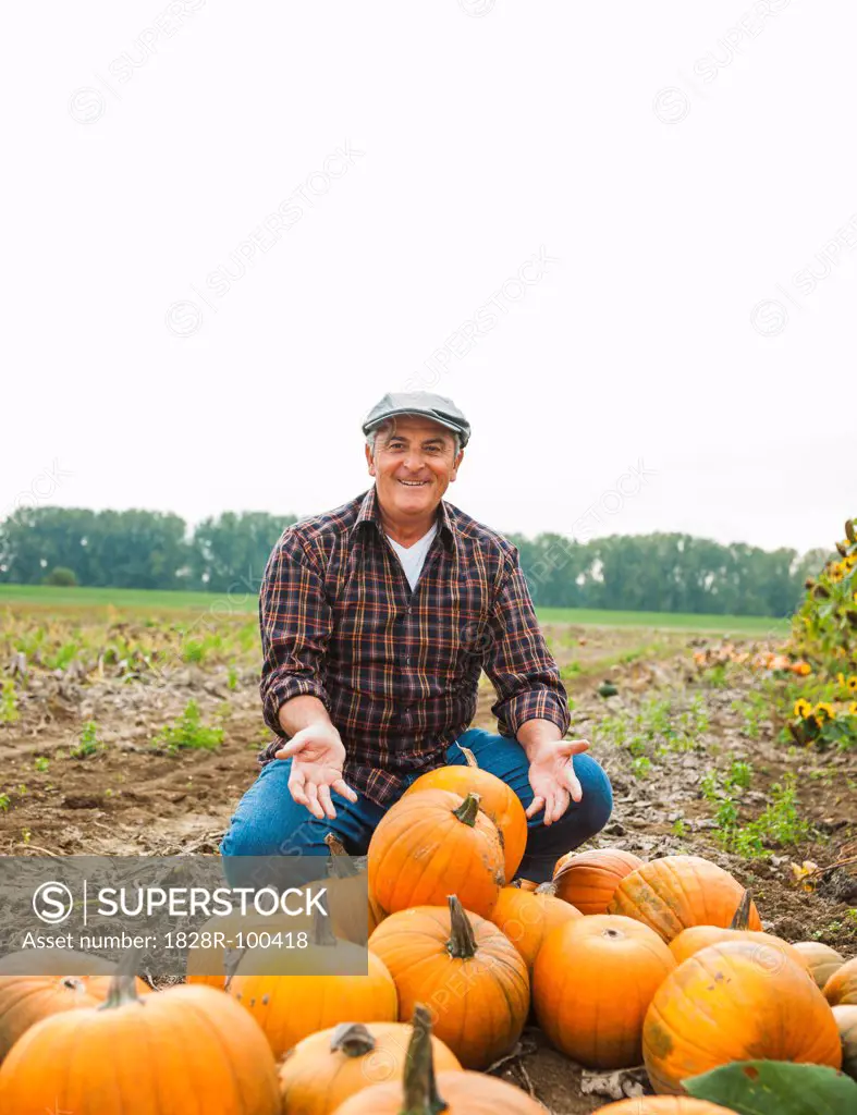 Farmer in field, next to pumpkin crop, Germany. 10/09/2013