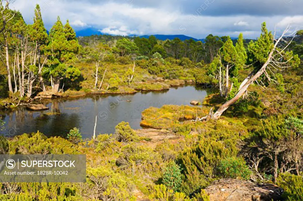 Overview of Lake, Walls of jerusalem National Park, Tasmania, Australia   