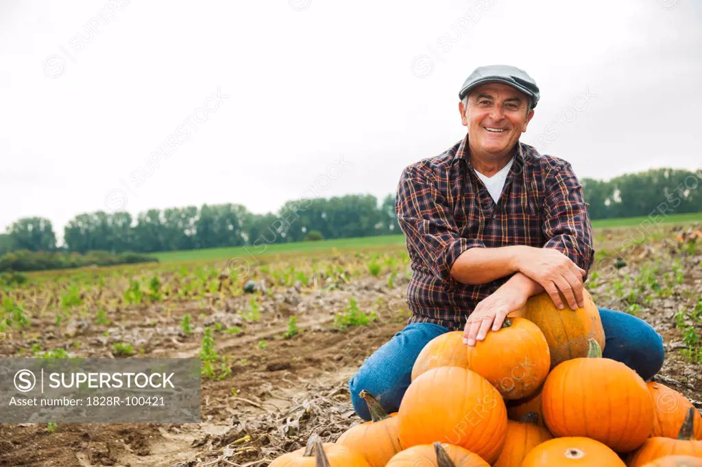 Farmer in field, next to pumpkin crop, Germany. 10/09/2013