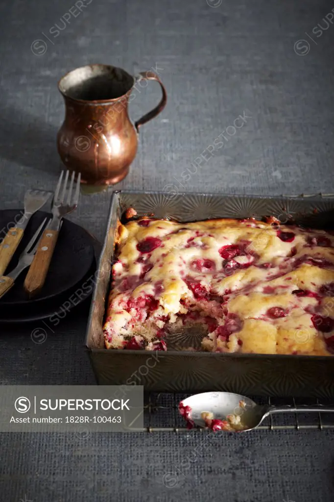 Bushberry Pudding Cake in baking pan, studio shot. 01/25/2012