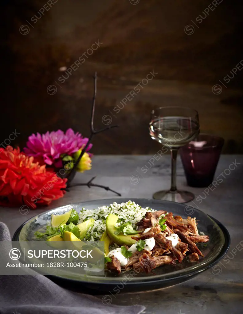 Pork carnitas with herb rice on plate, Mexican Fiesta, studio shot. 10/18/2011
