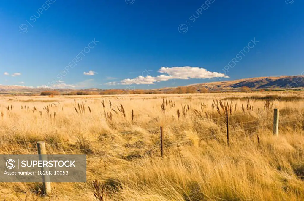Fence and Field, Ranfurly, Manuherikia Valley, Otago, South Island, New Zealand   