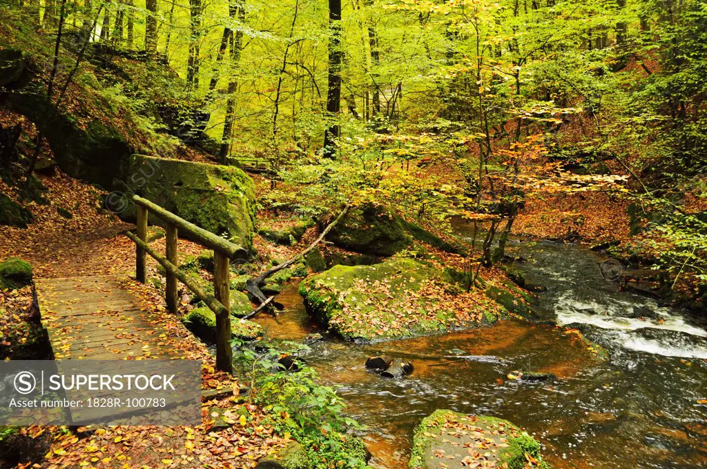 Karlstal Gorge, near Trippstadt, Palatinate Forest, Rhineland-Palatinate, Germany. 10/16/2013
