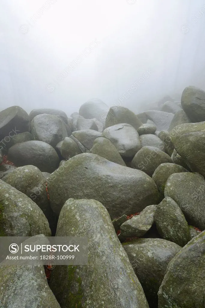 Close-up of rocks, popular destination, Felsenmeer, Odenwald, Hesse, Germany, Europe. 12/11/2013