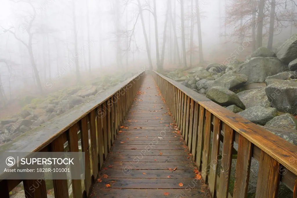 Wooden bridge in early morning mist, popular destination, Felsenmeer, Odenwald, Hesse, Germany, Europe. 12/11/2013