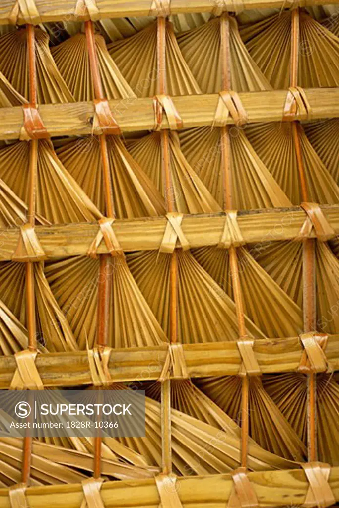 Close-Up of Thatch Roof   