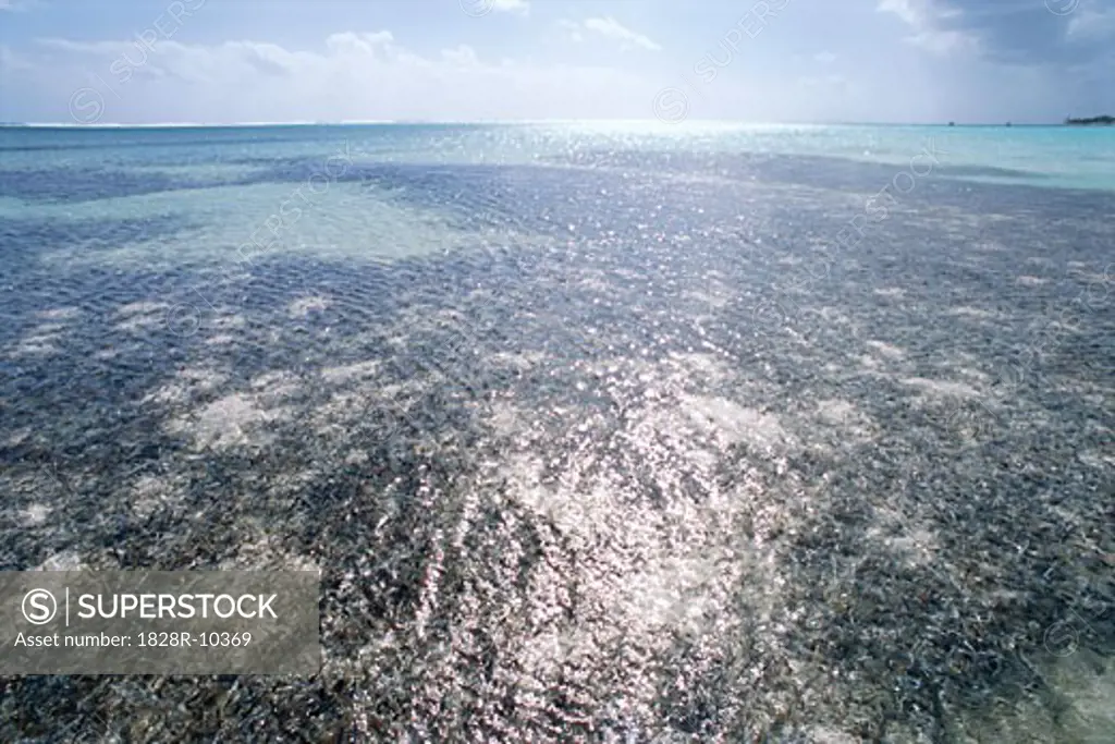 Overview of Ocean, Cayman Islands   
