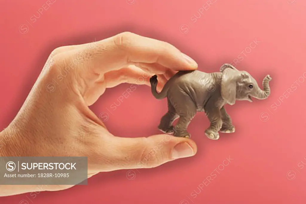 Person's Hands Holding Toy Elephant   