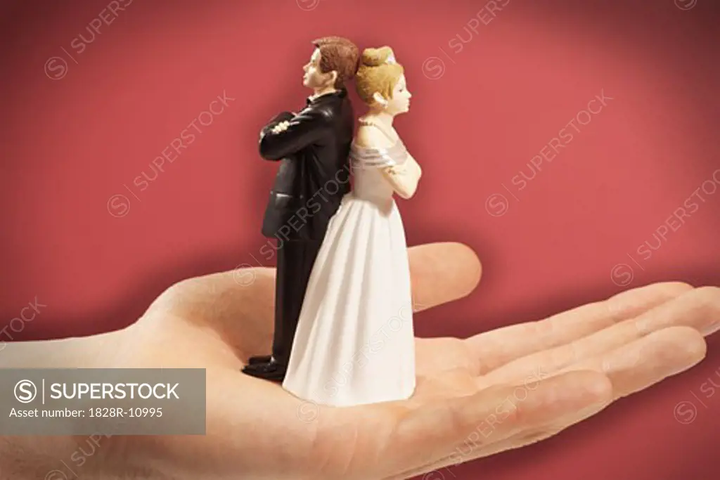 Person's Hand Holding Angry Cake Toppers   