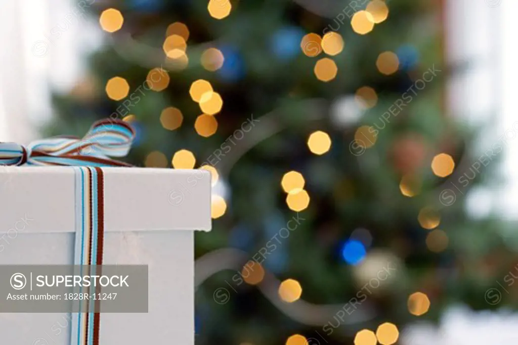 Gift and Christmas Tree   