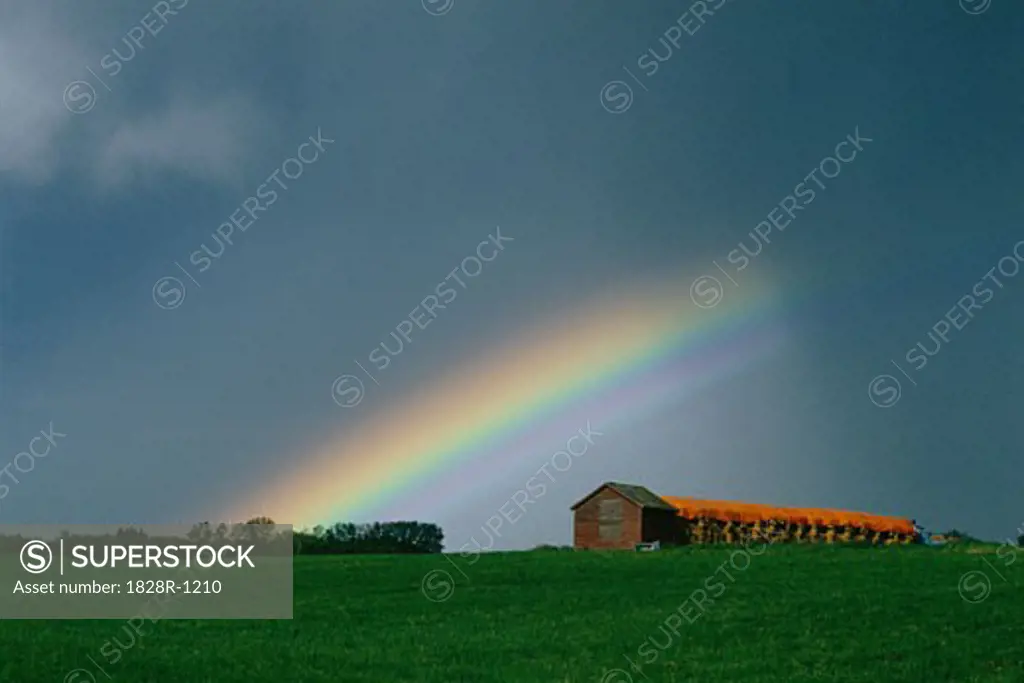Rainbow Alberta, Canada   