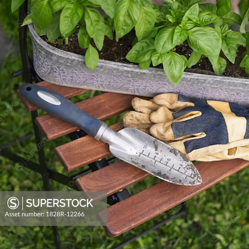 Plant and Gardening Tools