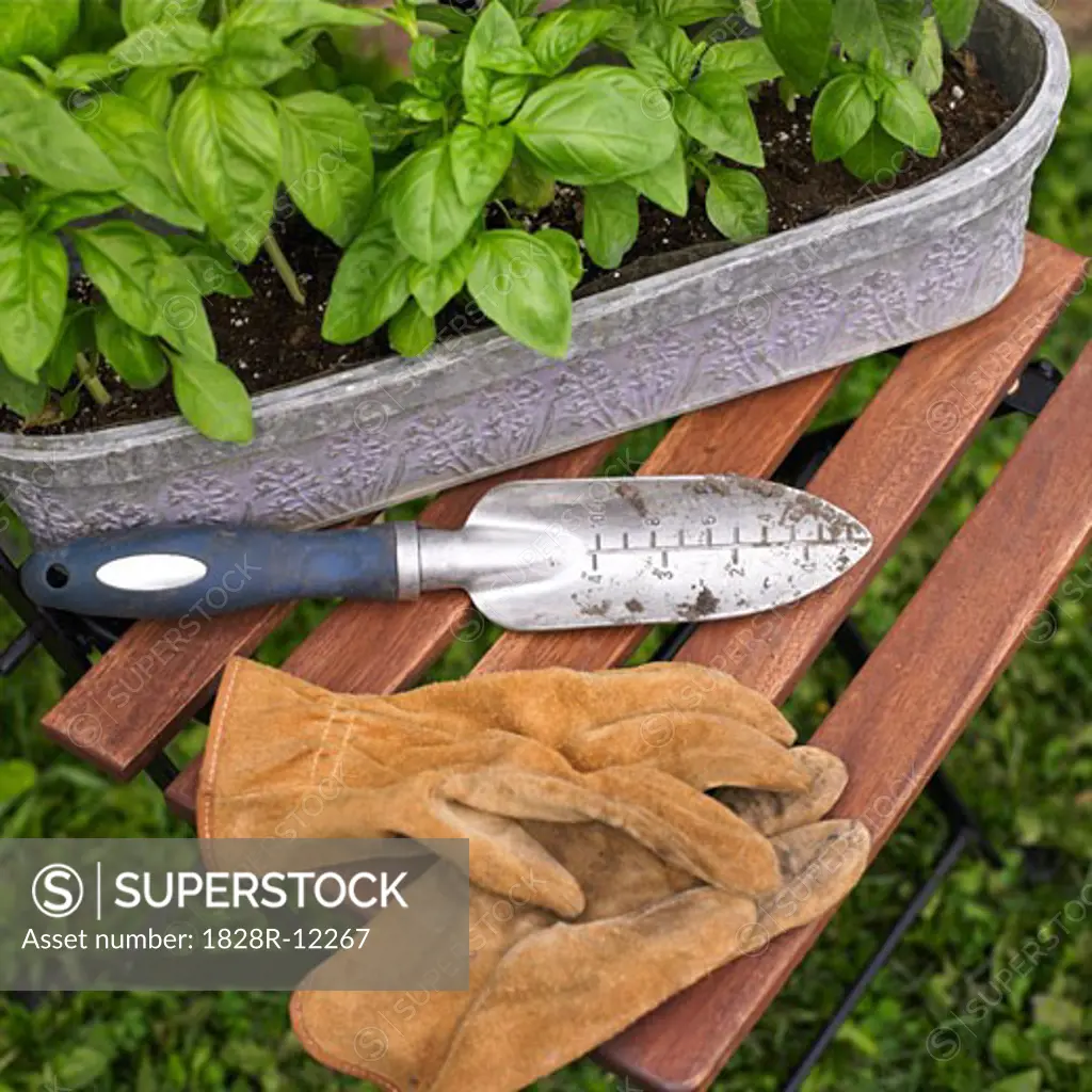 Plant and Gardening Tools
