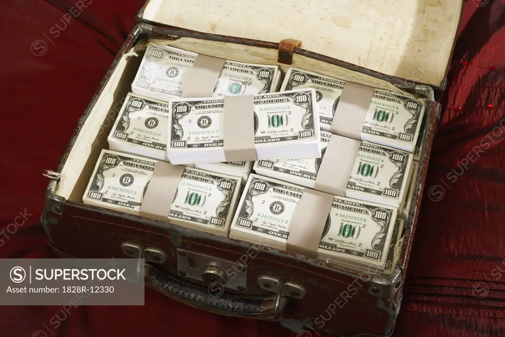 Briefcase Full of Money   