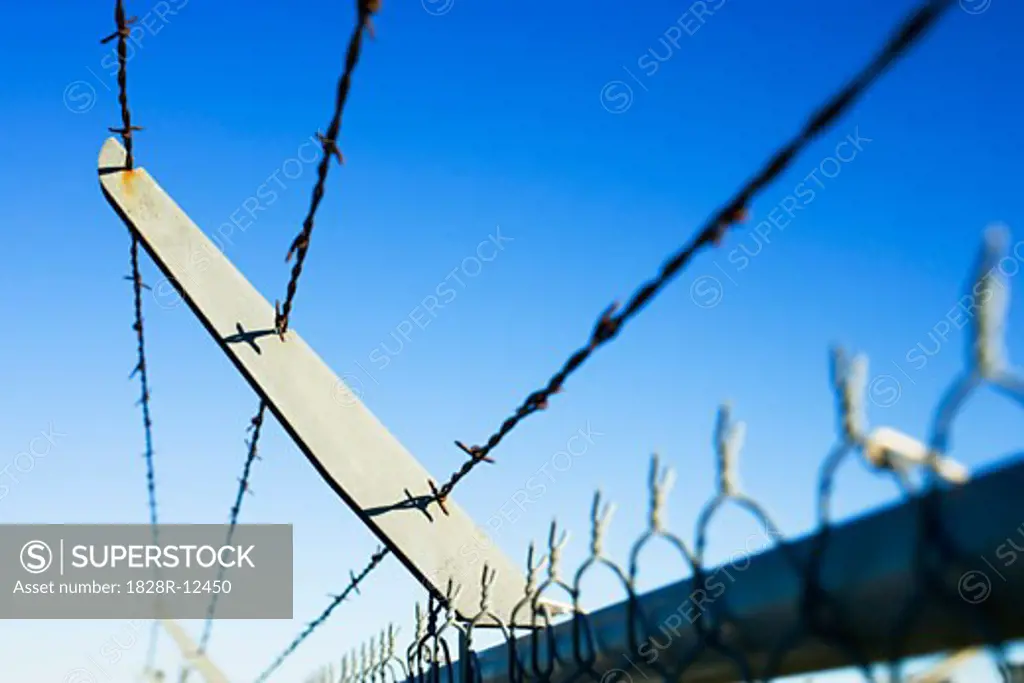 Barbed Wire Fence   
