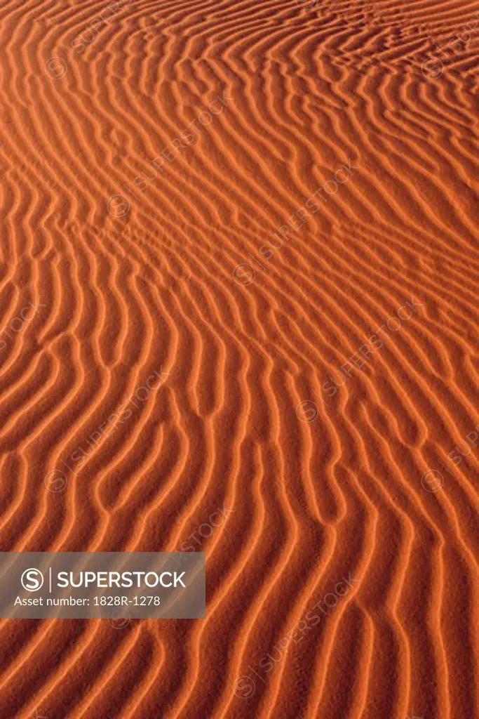 Sand Ripples Namibia   