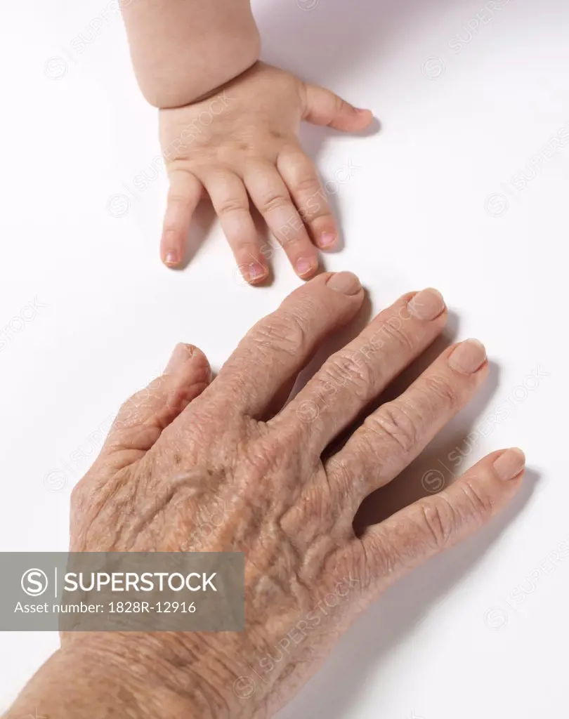 Baby's Hand Touching Woman's Hand   