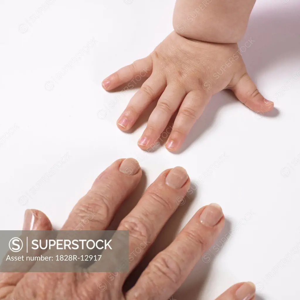 Hands of Baby and Woman   